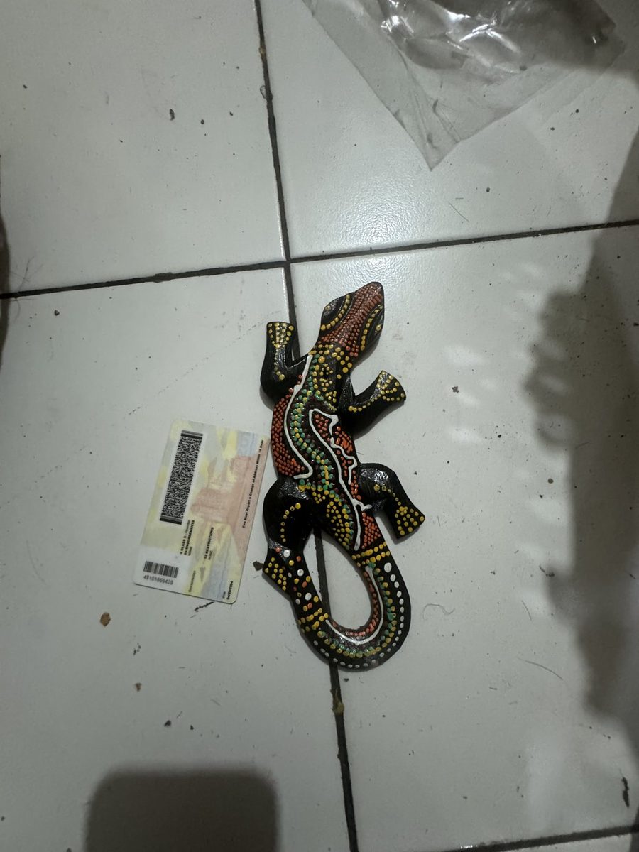 Gecko Extra Small 20 cm